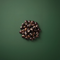 GUARANA EXTRACT (22% CAFEÏNE)