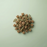 TRIBULUS TERRESTRIS (40% SAPONINES)